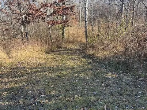 Exterior - 1660 N Bard, Gladwin, MI 48624 photo 7 of 9
