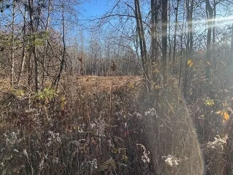 Other - 1660 N Bard, Gladwin, MI 48624 photo 2 of 11