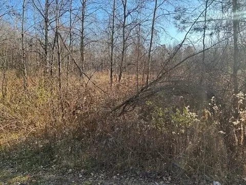 Other - 1660 N Bard, Gladwin, MI 48624 photo 3 of 11