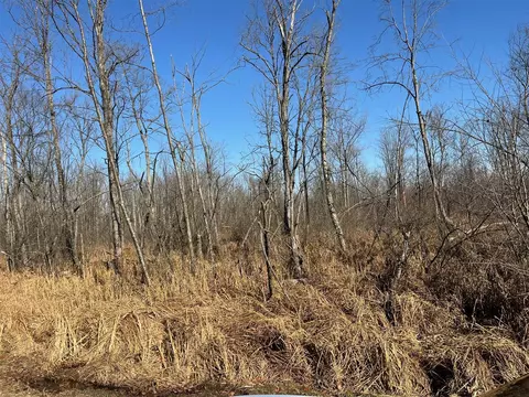 V/l Chamberlain, Marcellus, MI 49067 photo 3