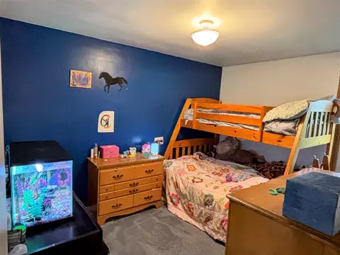Bedroom - 209 Burt, Tecumseh, MI 49286 photo 4 of 6