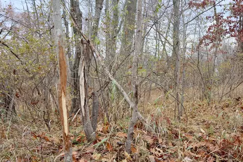 Hatton, Farwell, MI 48622 photo 62