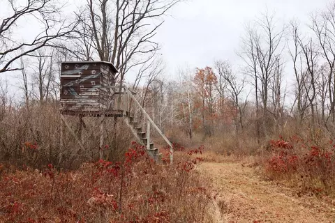 Hatton, Farwell, MI 48622 photo 46