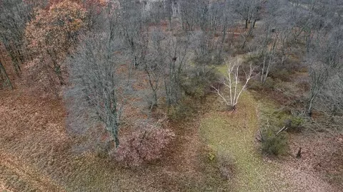 Hatton, Farwell, MI 48622 photo 15
