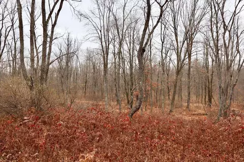Hatton, Farwell, MI 48622 photo 75