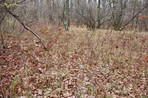 Hatton, Farwell, MI 48622 photo 58