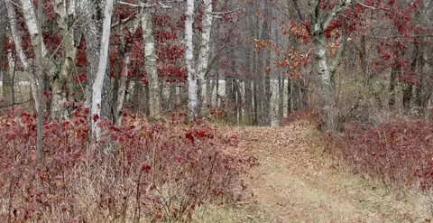 Hatton, Farwell, MI 48622 photo 59