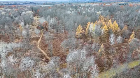 Hatton, Farwell, MI 48622 photo 64