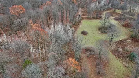 Hatton, Farwell, MI 48622 photo 48
