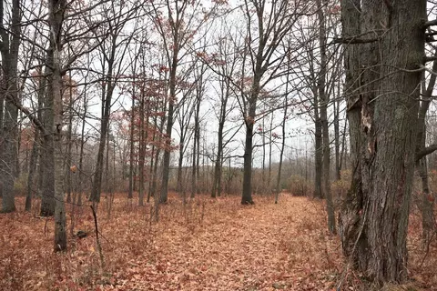 Hatton, Farwell, MI 48622 photo 67