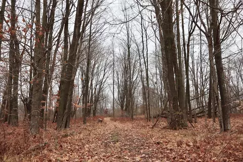 Hatton, Farwell, MI 48622 photo 56