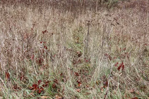 Hatton, Farwell, MI 48622 photo 74