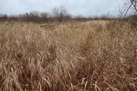 Hatton, Farwell, MI 48622 photo 76