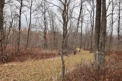 Hatton, Farwell, MI 48622 photo 61