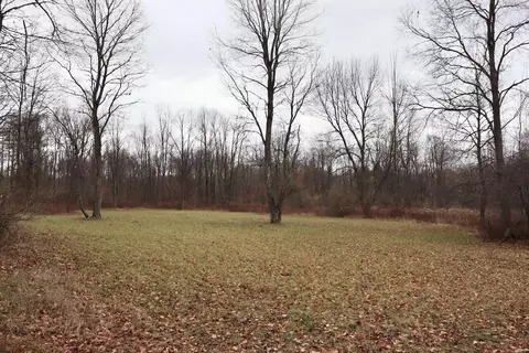 Hatton, Farwell, MI 48622 photo 70