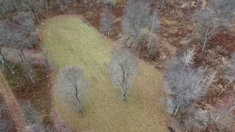 Hatton, Farwell, MI 48622 photo 8