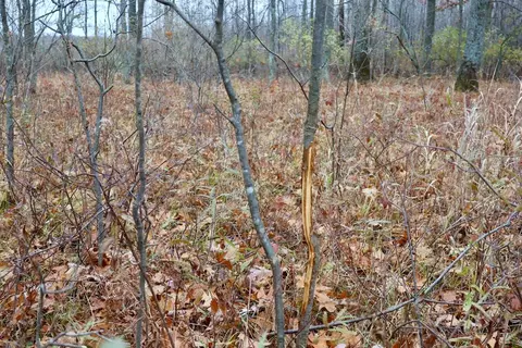 Hatton, Farwell, MI 48622 photo 73