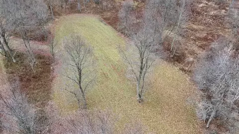 Hatton, Farwell, MI 48622 photo 69
