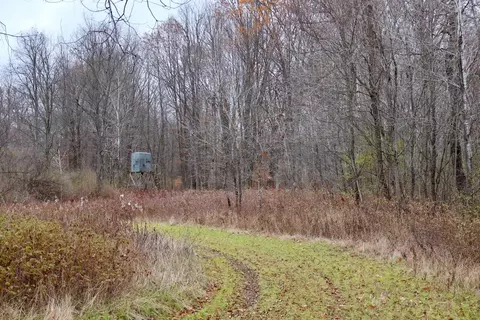 Hatton, Farwell, MI 48622 photo 52
