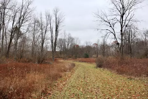 Hatton, Farwell, MI 48622 photo 37