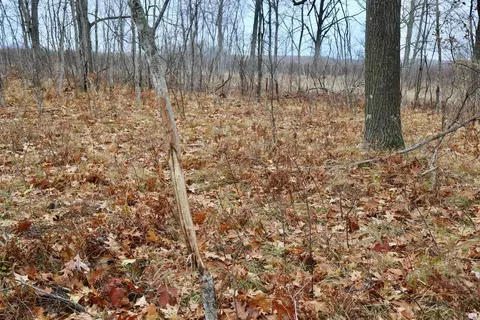 Hatton, Farwell, MI 48622 photo 23