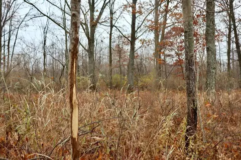 Hatton, Farwell, MI 48622 photo 68