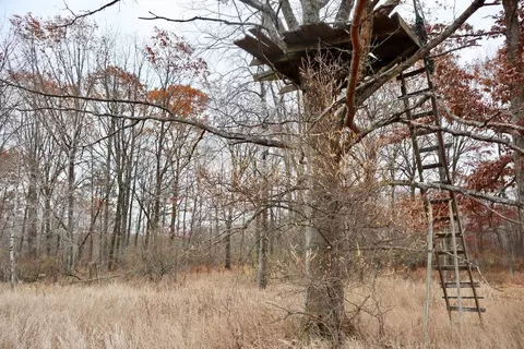Hatton, Farwell, MI 48622 photo 77
