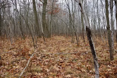 Hatton, Farwell, MI 48622 photo 65