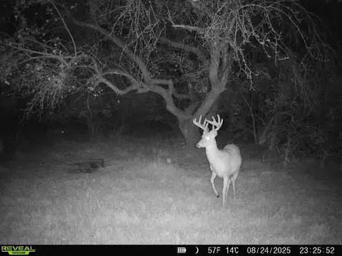 Hatton, Farwell, MI 48622 photo 7