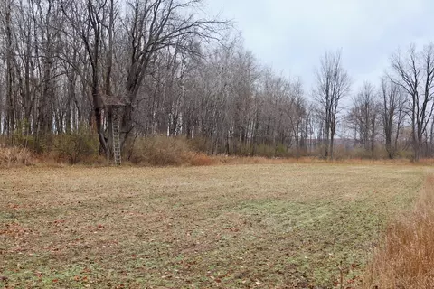 Hatton, Farwell, MI 48622 photo 45