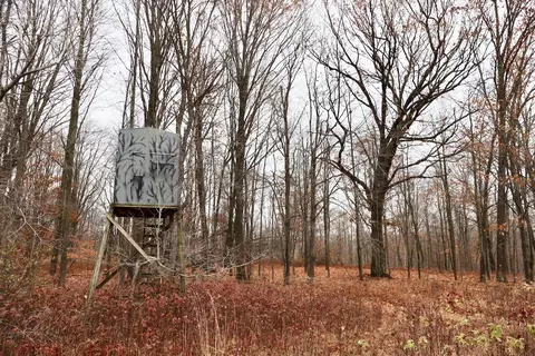 Hatton, Farwell, MI 48622 photo 55