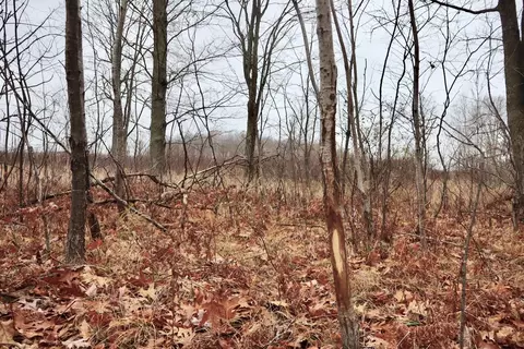 Hatton, Farwell, MI 48622 photo 22