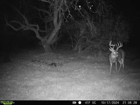 Hatton, Farwell, MI 48622 photo 5