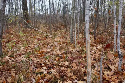 Hatton, Farwell, MI 48622 photo 21