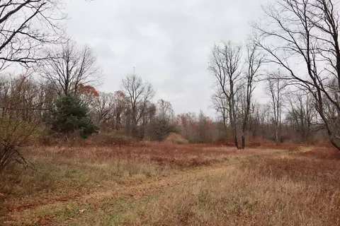 Hatton, Farwell, MI 48622 photo 39