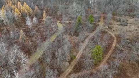 Hatton, Farwell, MI 48622 photo 9