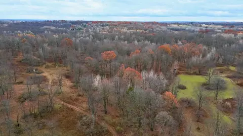 Hatton, Farwell, MI 48622