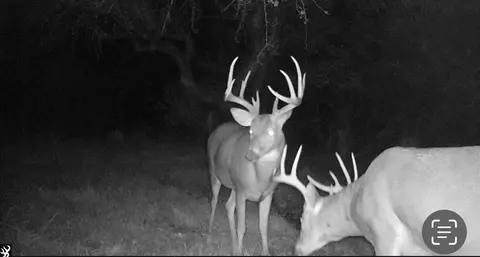 Hatton, Farwell, MI 48622 photo 3
