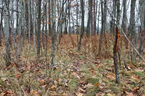 Hatton, Farwell, MI 48622 photo 19