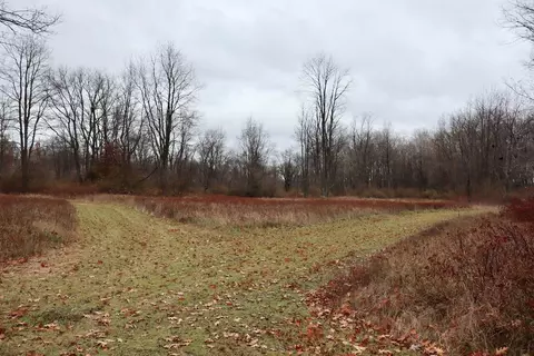 Hatton, Farwell, MI 48622 photo 38
