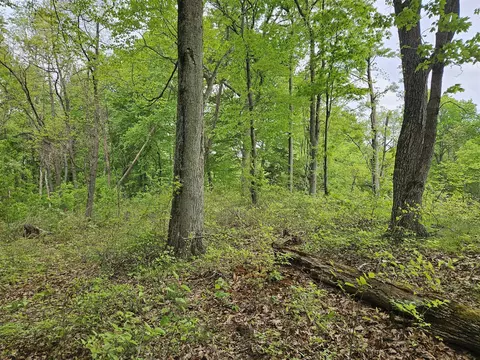 77868 30th, Covert, MI 49043