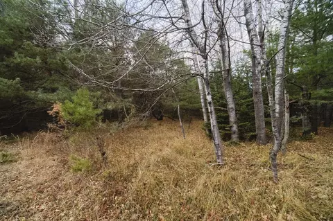 14061 Erdman, Arcadia, MI 49613 photo 25