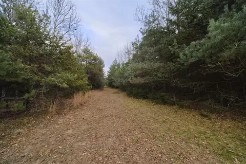 14061 Erdman, Arcadia, MI 49613 photo 23