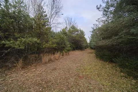 14061 Erdman, Arcadia, MI 49613 photo 24