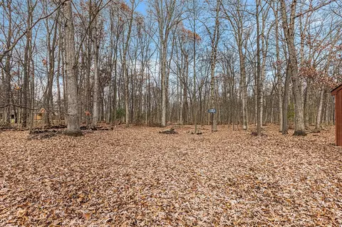 Exterior - 12250 Trinkle, Dexter, MI 48130 photo 10 of 16