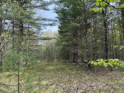 critter, Manistee, MI 49660
