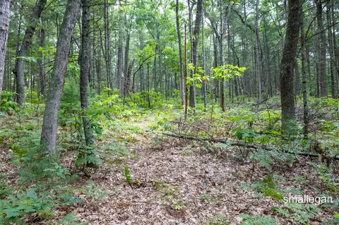 3747 S Sweet Lk, Twin Lake, MI 49457