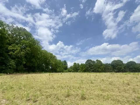0 Seymour #PARCEL C, Grass Lake, MI 49240