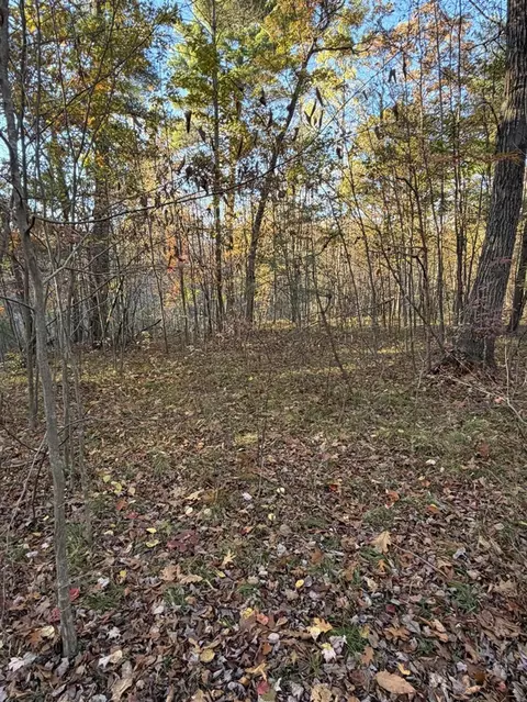 V/L Maple Hill #PARCEL D, Howard City, MI 49329