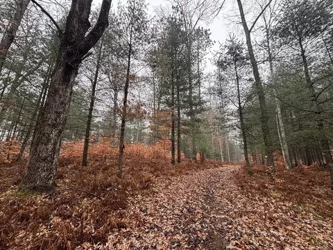 6270 S Woods, Custer, MI 49405